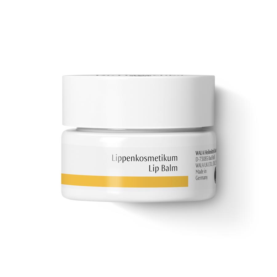 Dr. Hauschka - Lippenkosmetikum 4,5 ml - WERTE FREUNDE