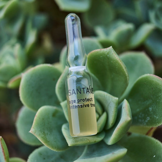 Santaverde - Age Protect Intensive Treatment Ampullenkur 10ml - WERTE FREUNDE