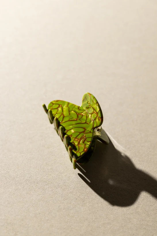 sasstie - Mony Turtle - WERTE FREUNDE