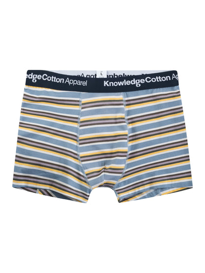 KCA - 2 pack striped underwear Blue stripe