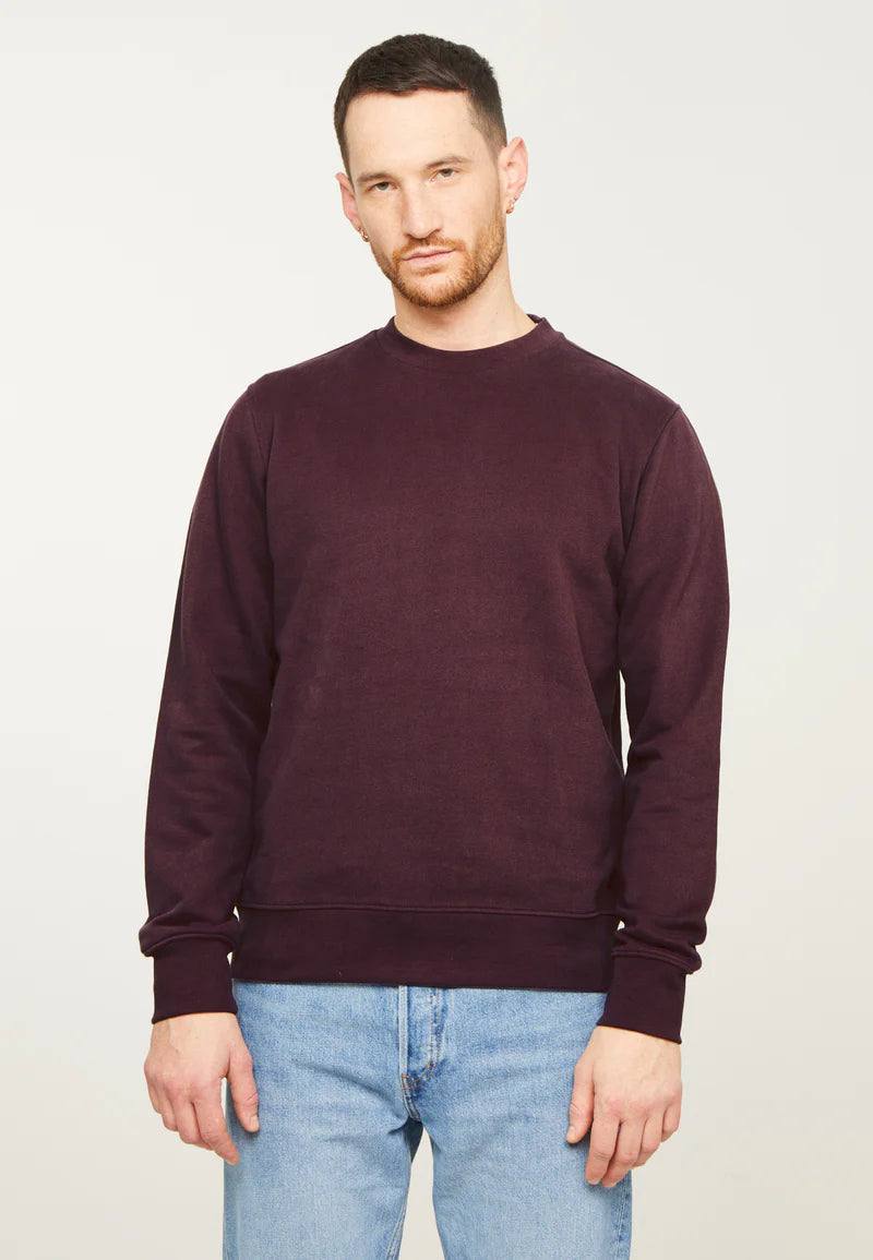 recolution - Sweatshirt TAMARILLO dark plum - WERTE FREUNDE