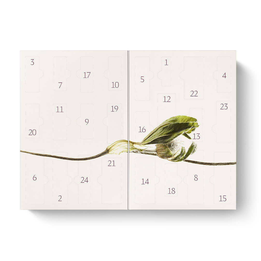 Dr. Hauschka - Adventskalender 2026 bliss