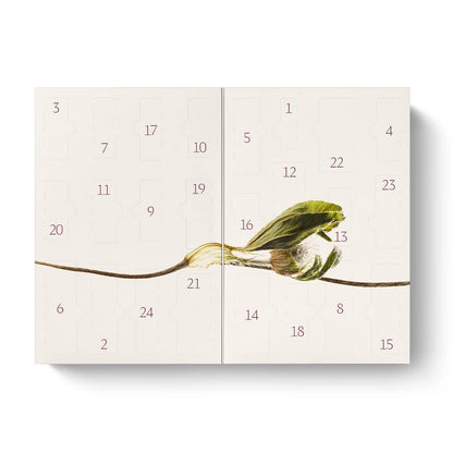 Dr. Hauschka - Adventskalender 2026 bliss