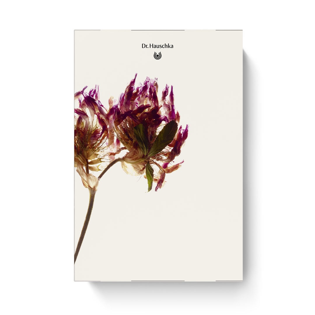 Dr. Hauschka - Adventskalender 2026 bliss