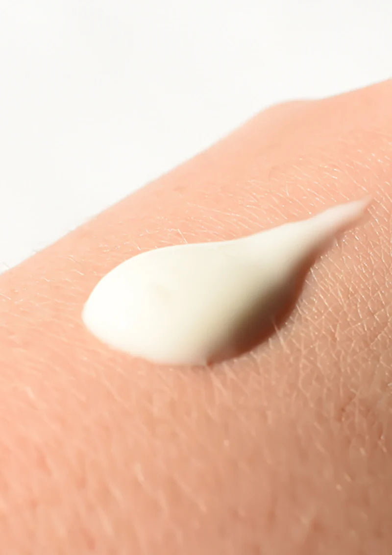 Living Nature - NOURISHING DAY CREAM 60ml - WERTE FREUNDE