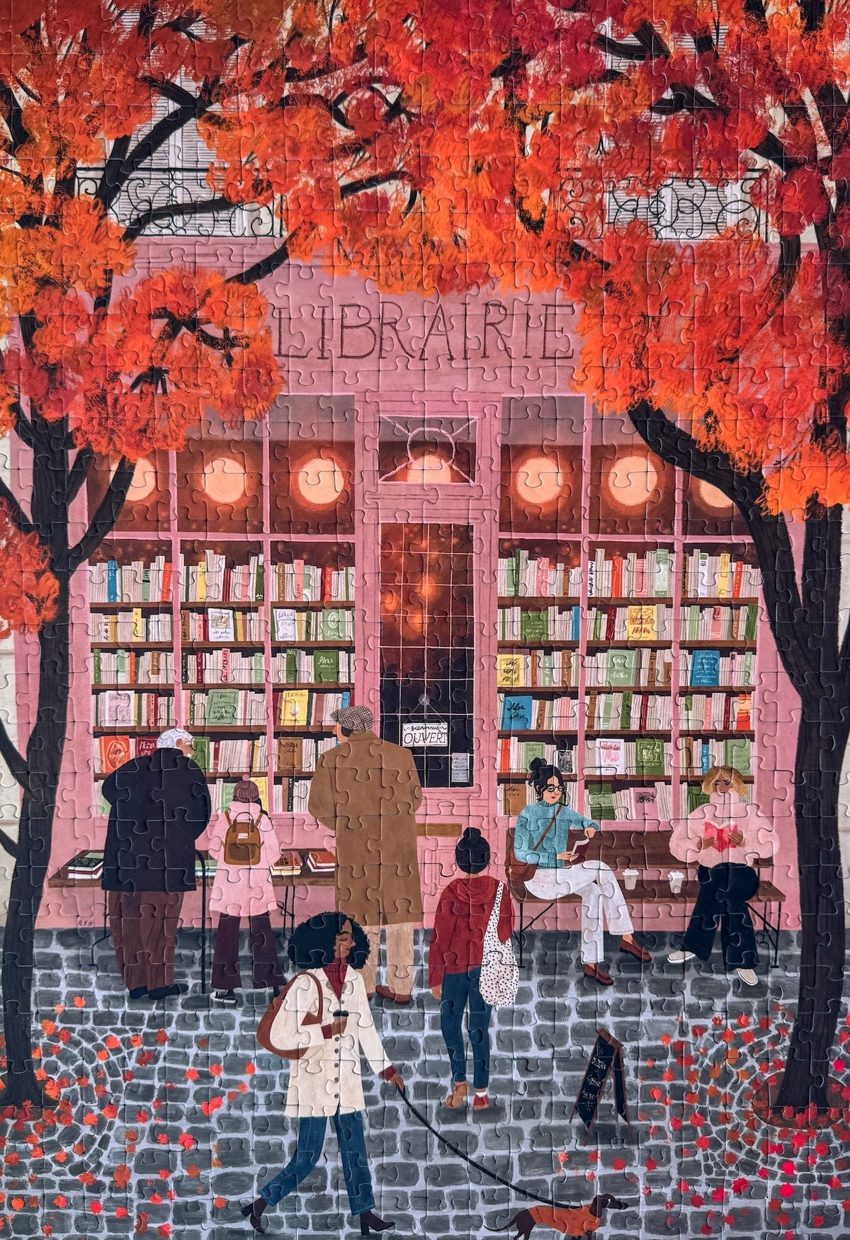 Piecely Puzzles - Puzzle La Librairie 500 Teile