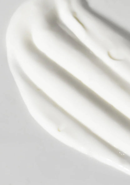 Living Nature - RICH DAY CREAM 60ml - WERTE FREUNDE