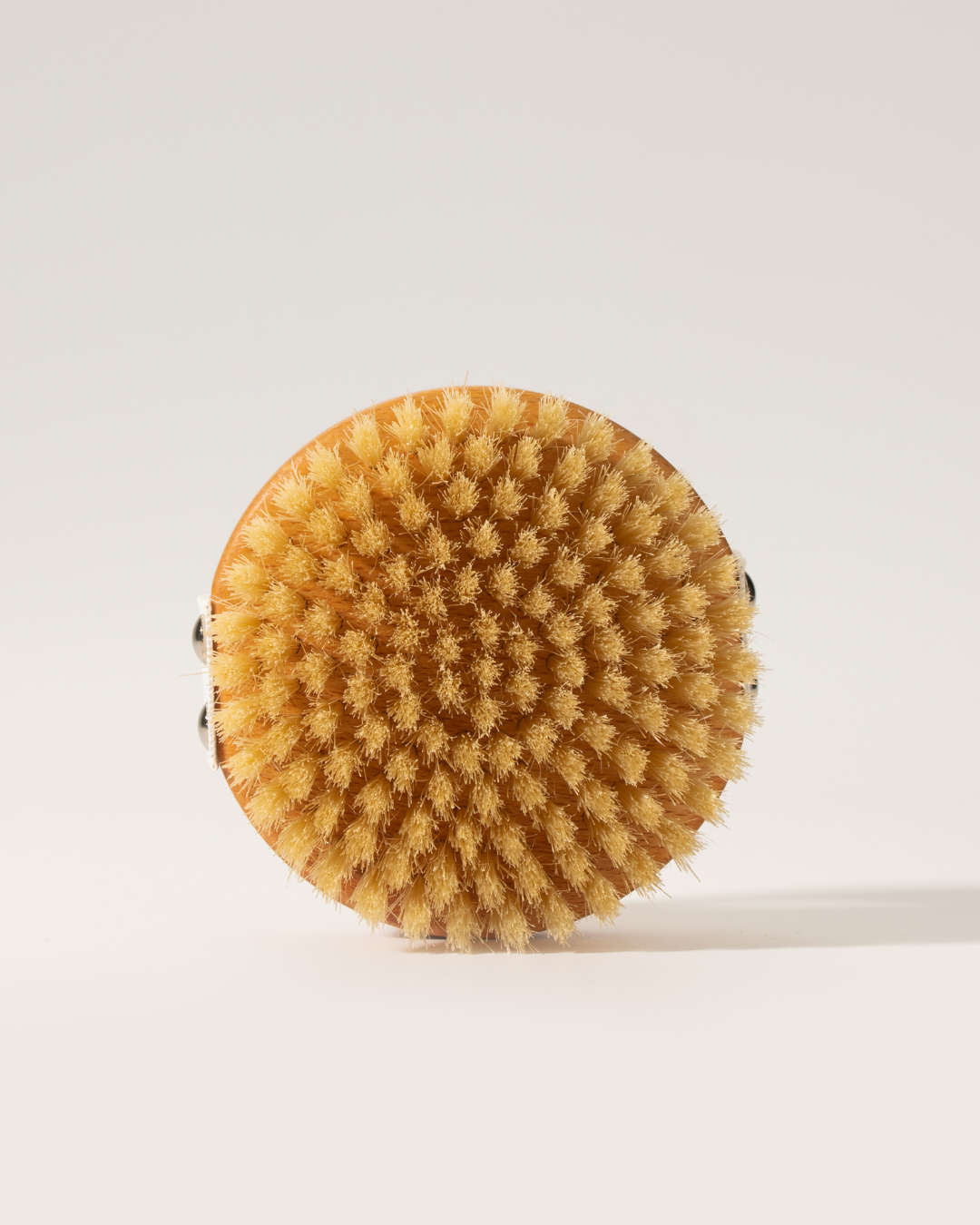ruhi - The Dry Brush 1Stk. - WERTE FREUNDE