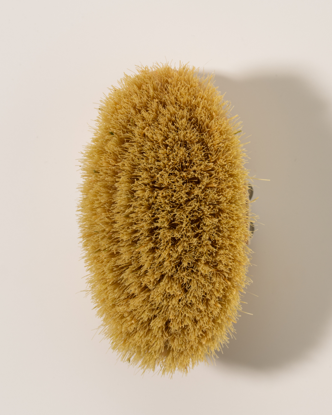ruhi - The Vegan Dry Brush 1Stk. - WERTE FREUNDE