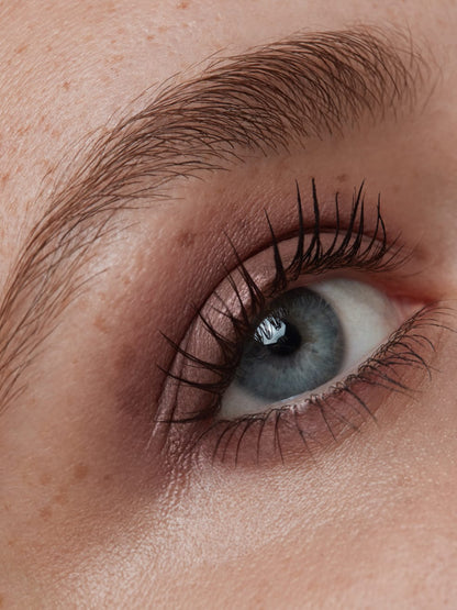 UND GRETEL - IMBE Eye Shadow Refillable 3,5g - WERTE FREUNDE