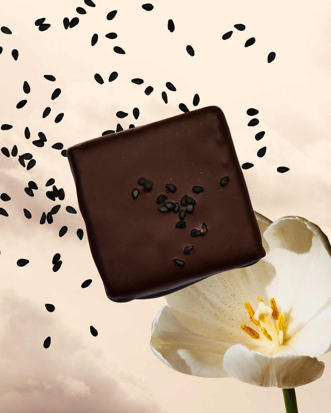 Cosmic Dealer - Nut Butter Chocolate Black Sesame and Chai 20g - WERTE FREUNDE