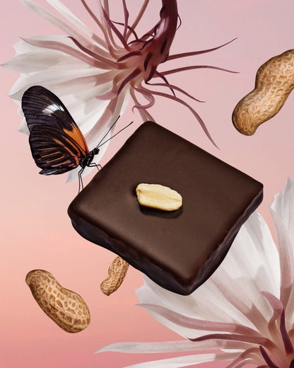 Cosmic Dealer - Nut Butter Chocolate Peanut butter and Smoked Salt 20g - WERTE FREUNDE