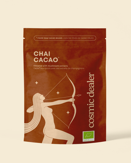 Cosmic Dealer - CACAO CHAI with Lion´s Mane & Lucuma 120 g - WERTE FREUNDE