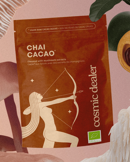 Cosmic Dealer - CACAO CHAI with Lion´s Mane & Lucuma 120 g - WERTE FREUNDE
