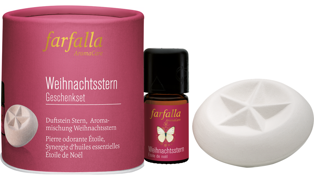 farfalla - Geschenkset Weihnachtsstern 1Stk. - WERTE FREUNDE