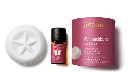 farfalla - Geschenkset Weihnachtsstern 1Stk.