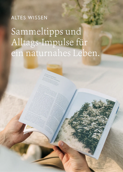 kruut - Wildpflanzen im Alltag. Buch. 1 Stk. - WERTE FREUNDE