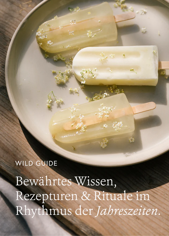 kruut - Wildpflanzen im Alltag. Buch. 1 Stk. - WERTE FREUNDE