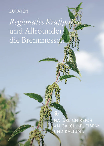 kruut - Wild Seeds 60 g - WERTE FREUNDE