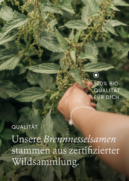 kruut - Wild Seeds 60 g - WERTE FREUNDE