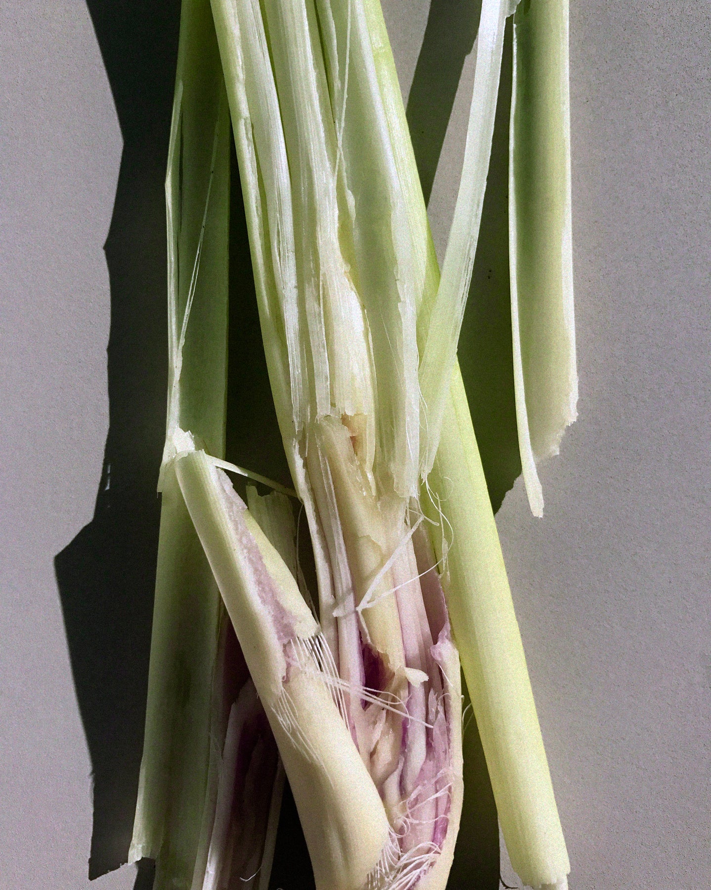 LA BRUKET - Meersalzpeeling 297 Lemongrass 420g - WERTE FREUNDE