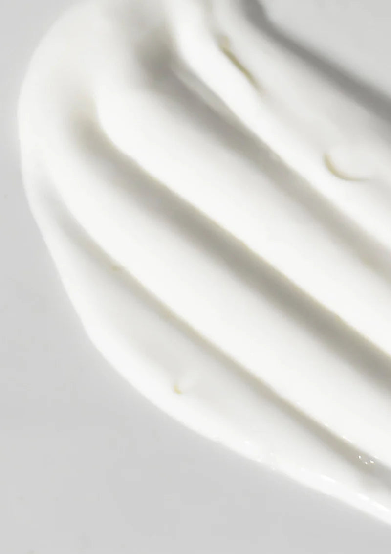 Living Nature - RICH DAY CREAM 60ml - WERTE FREUNDE