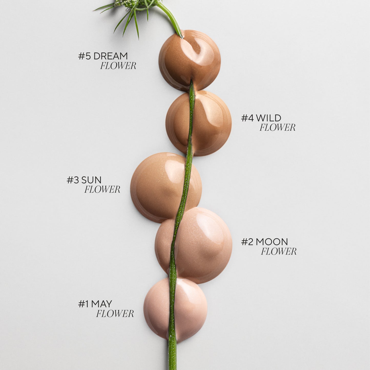 MADARA - H2O TINT Getöntes Hyaluron Serum 30ml - WERTE FREUNDE