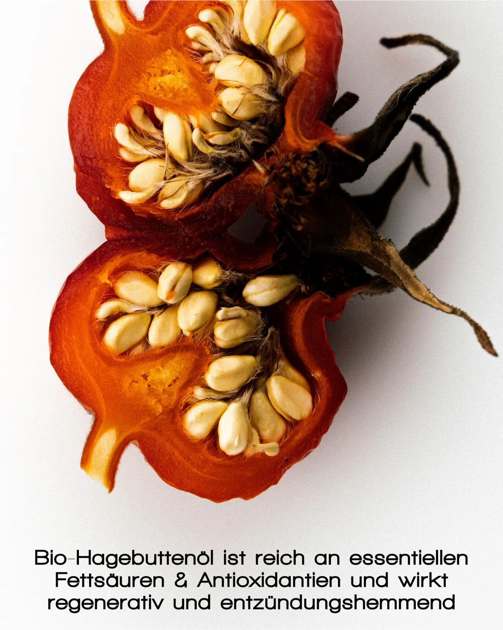 Merme - Glowing Guard Face Oil 30ml - WERTE FREUNDE