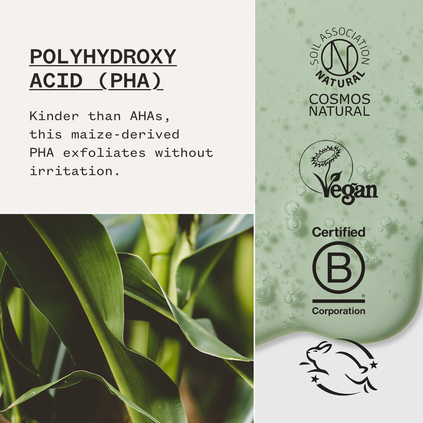 Pai - Phaze - Clarifying Face Wash 100ml - WERTE FREUNDE