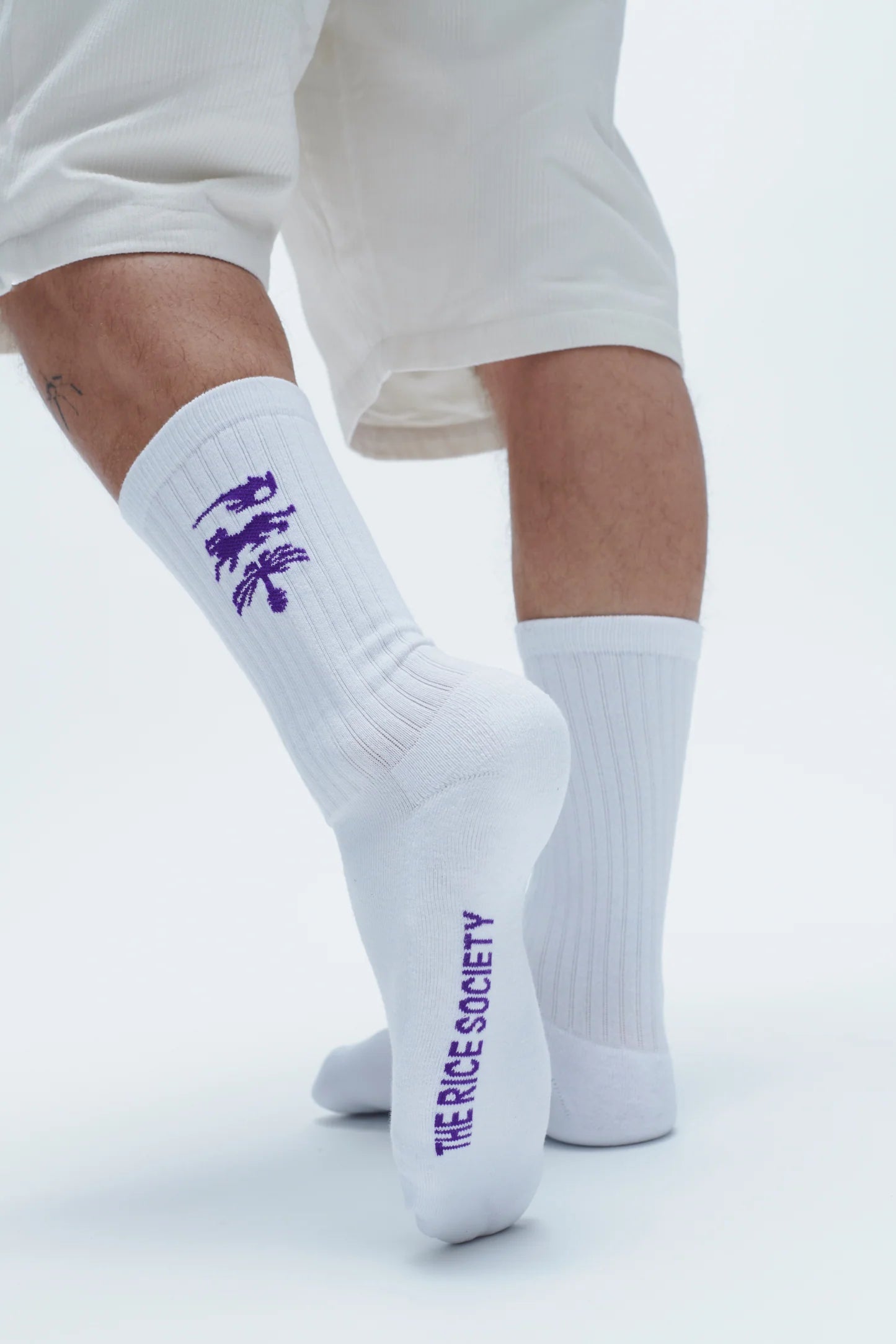 Rice - AVY ORGANIC CREW SOCK White/Purple - WERTE FREUNDE