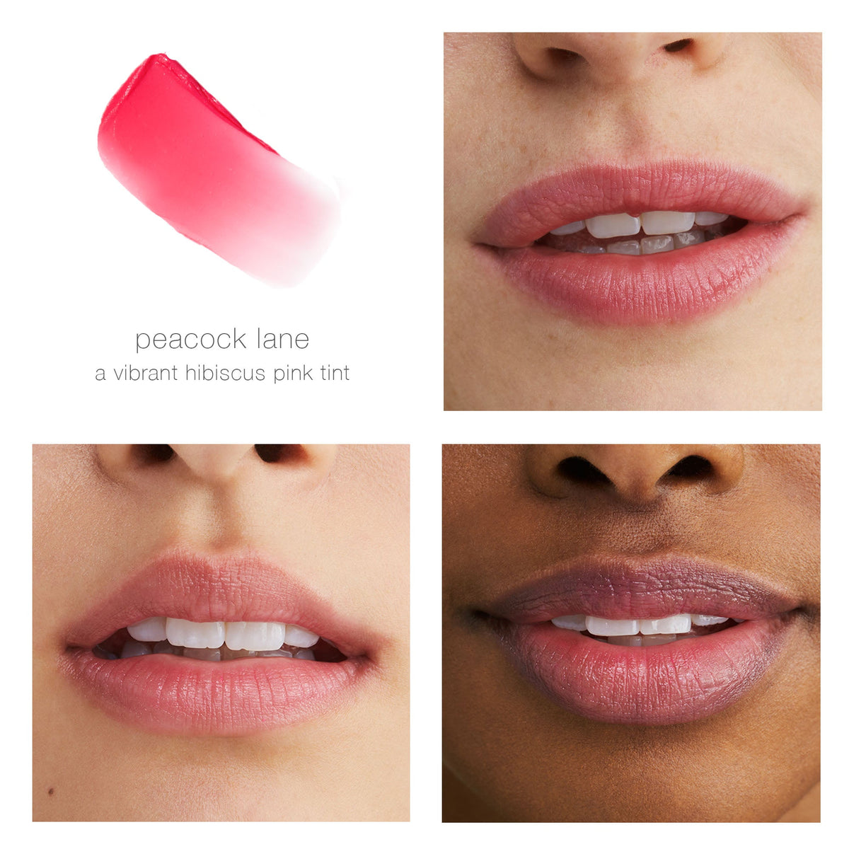 rms - tinted daily lip balm - WERTE FREUNDE