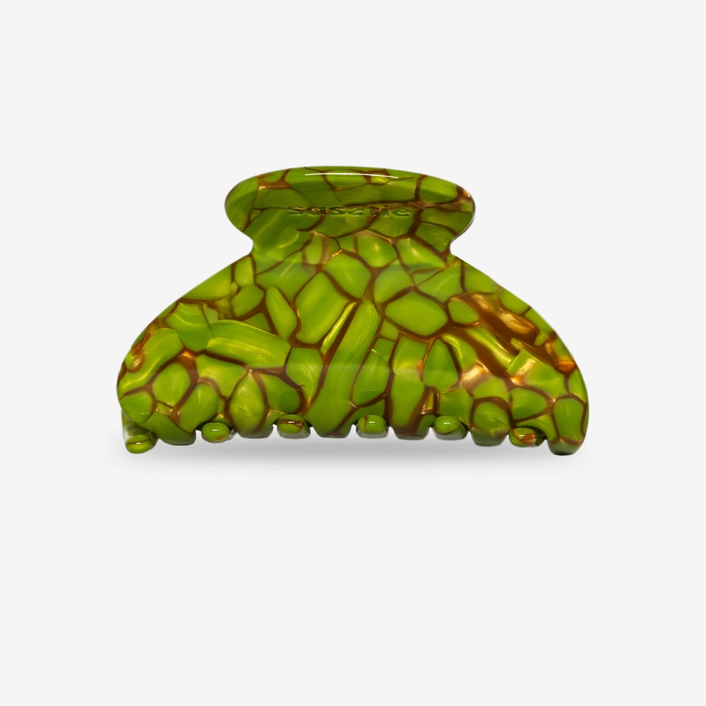 sasstie - Mony Turtle - WERTE FREUNDE