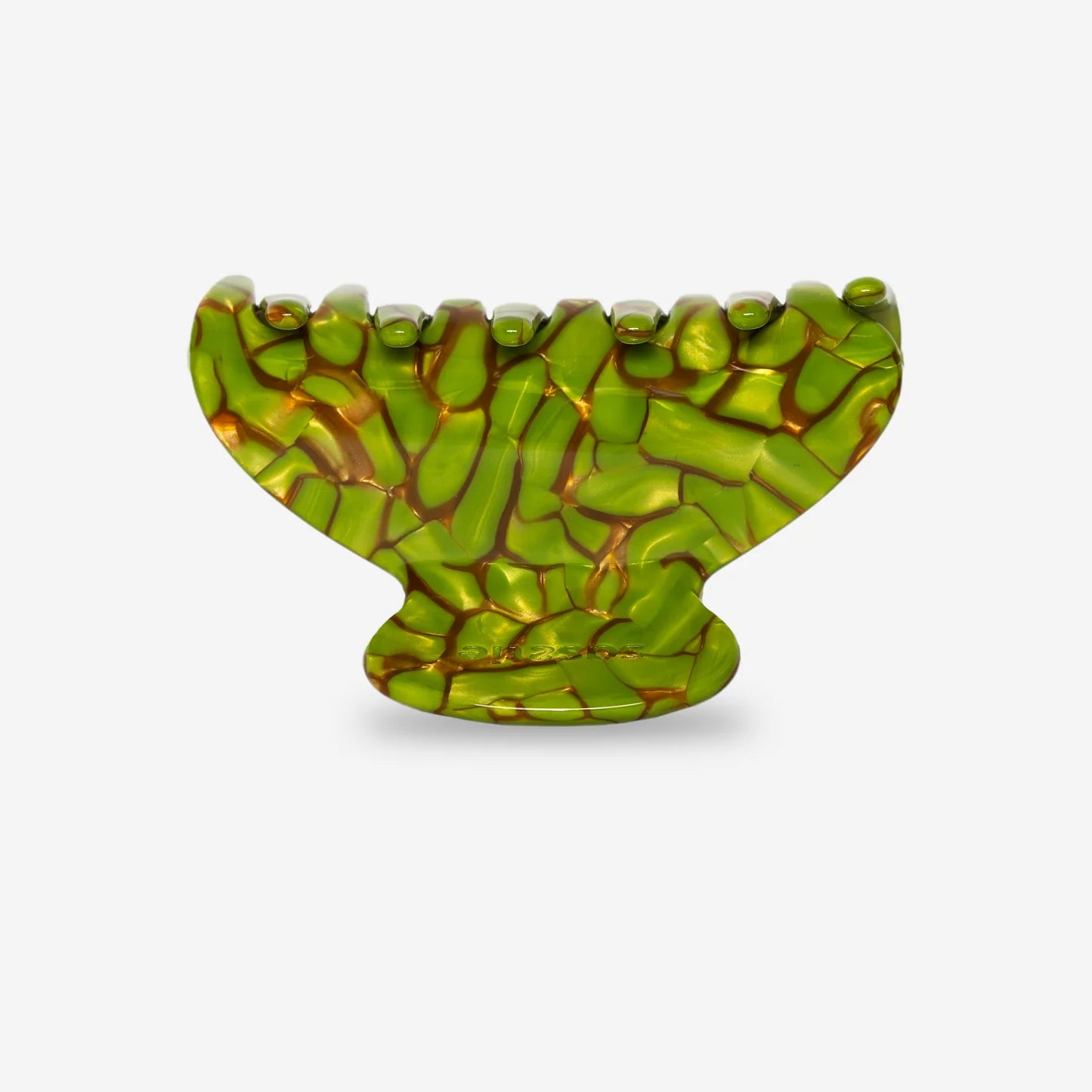 sasstie - Mony Turtle - WERTE FREUNDE