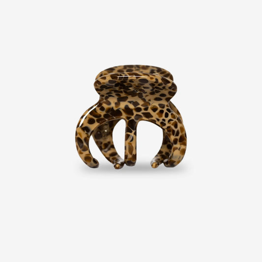 sasstie - Octie Caffé - WERTE FREUNDE