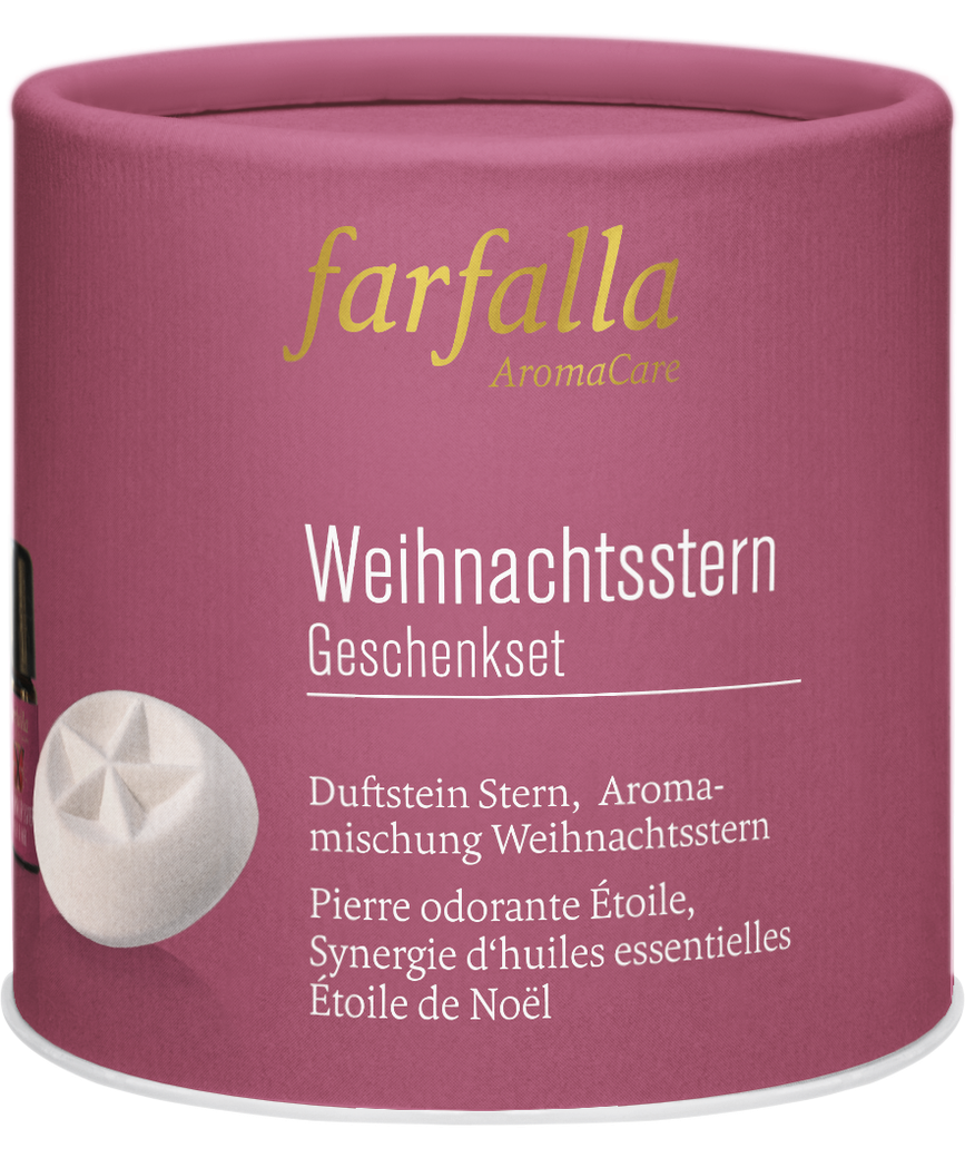 farfalla - Geschenkset Weihnachtsstern 1Stk. - WERTE FREUNDE