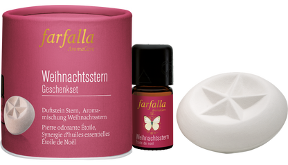 farfalla - Geschenkset Weihnachtsstern 1Stk. - WERTE FREUNDE