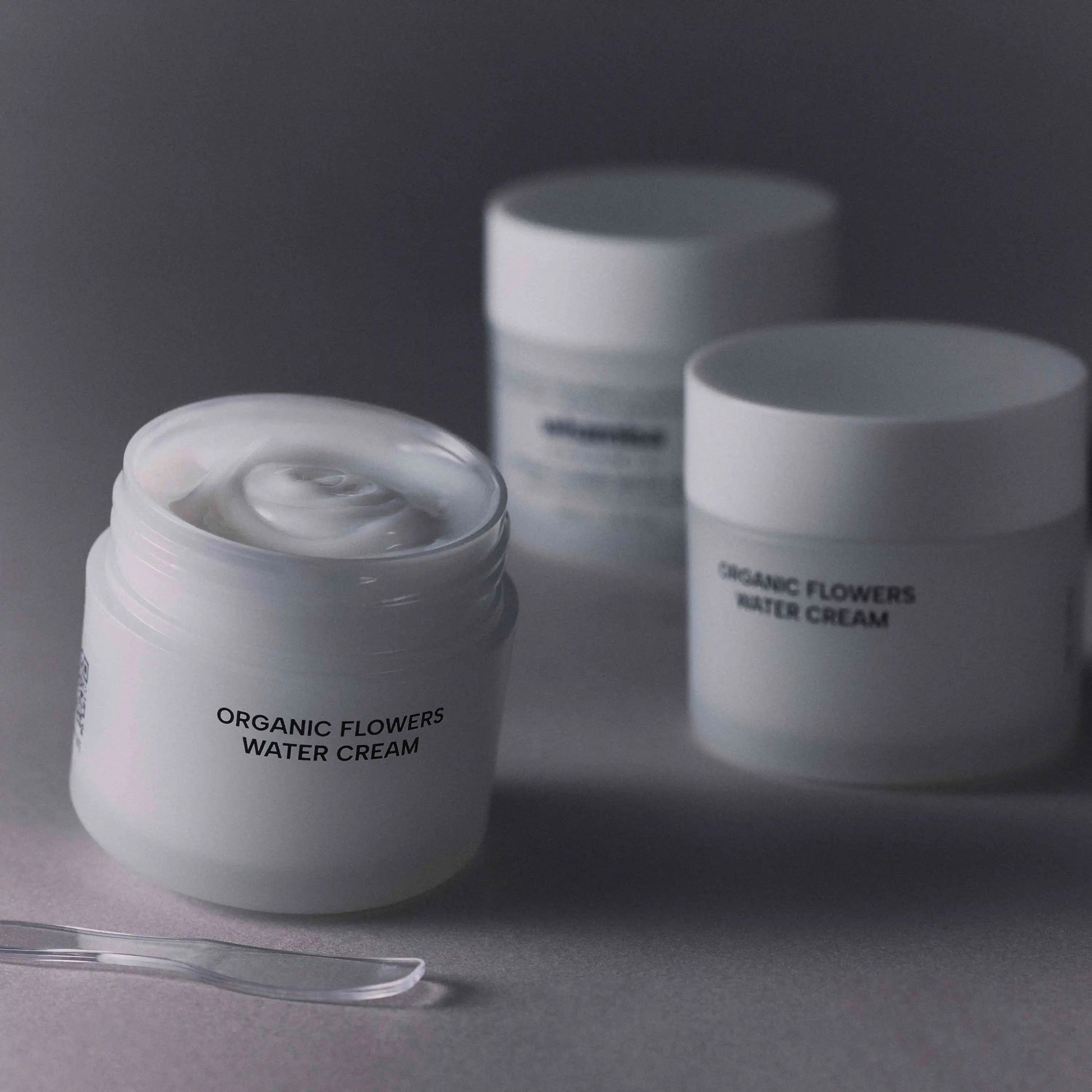 WHAMISA - Water Cream 50ml - WERTE FREUNDE