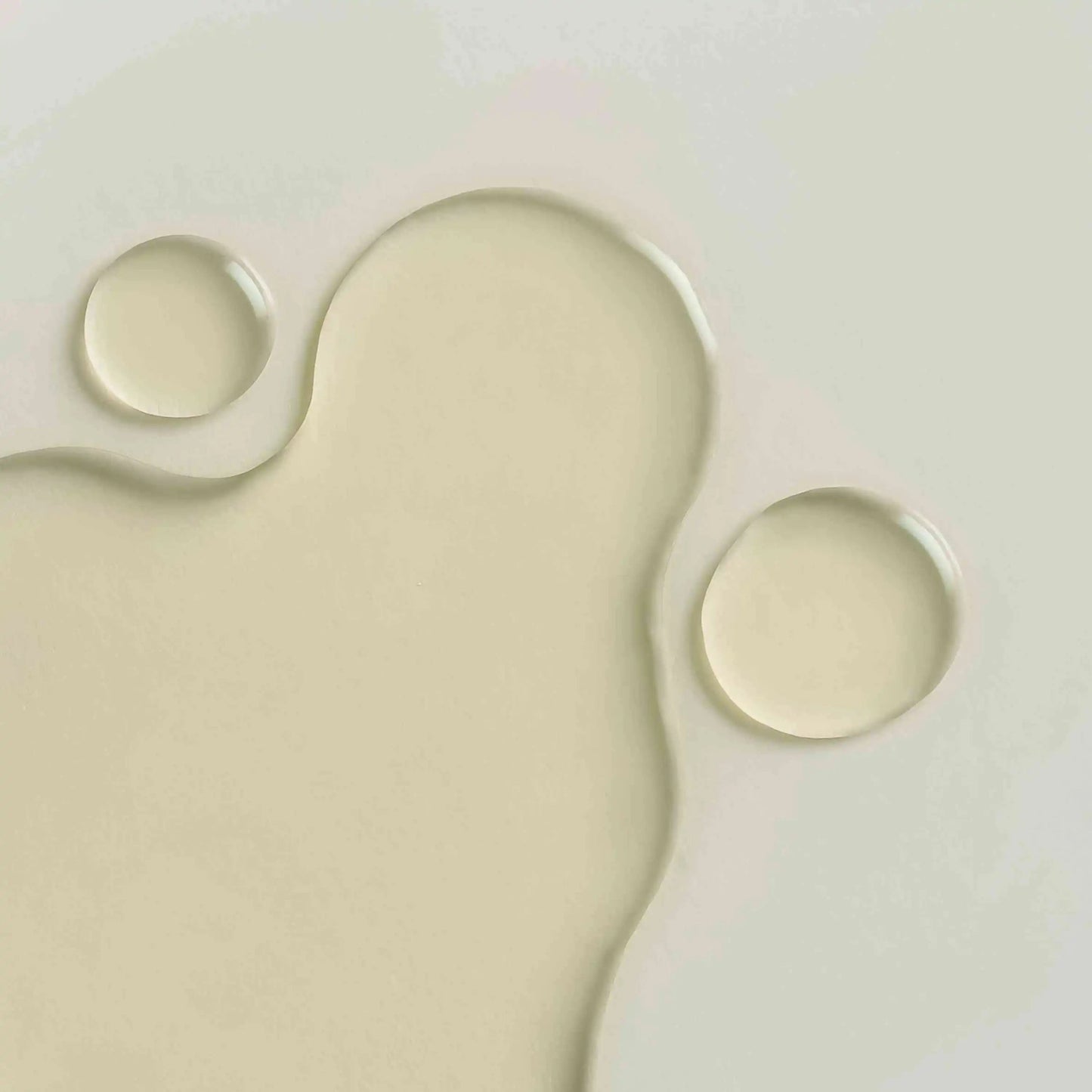 WHAMISA - Cactus Inner Skin Moisture Bouncy Serum 52ml - WERTE FREUNDE