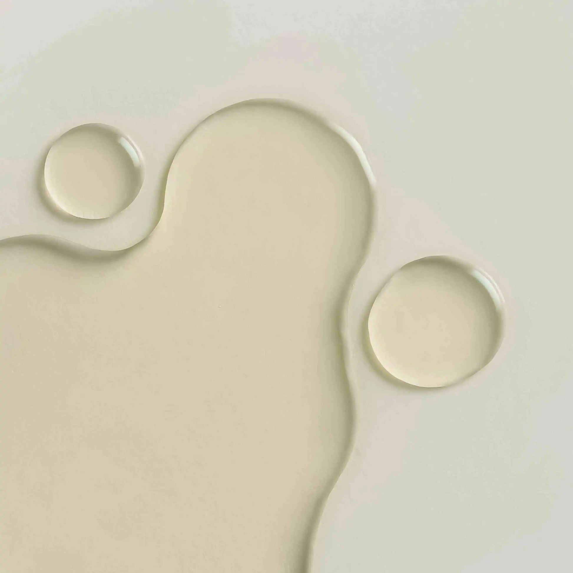 WHAMISA - Cactus Inner Skin Moisture Bouncy Serum 52ml - WERTE FREUNDE