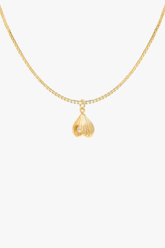 WILDTHINGS - Clam shell necklace gold plated