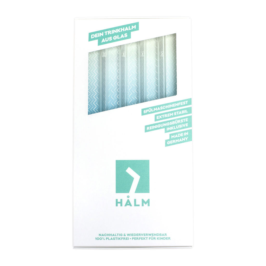 HALM - 4x23cm Glastrinkhalme (gerade) wiederverwendbare Strohhalme aus Glas