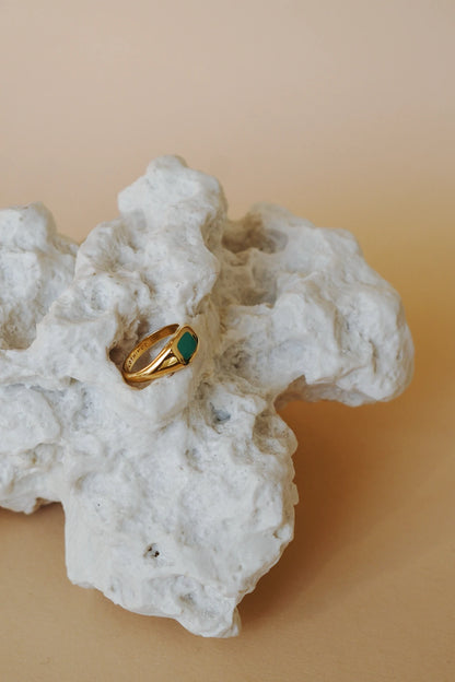 WILDTHINGS - Mediterranean signet ring gold plated