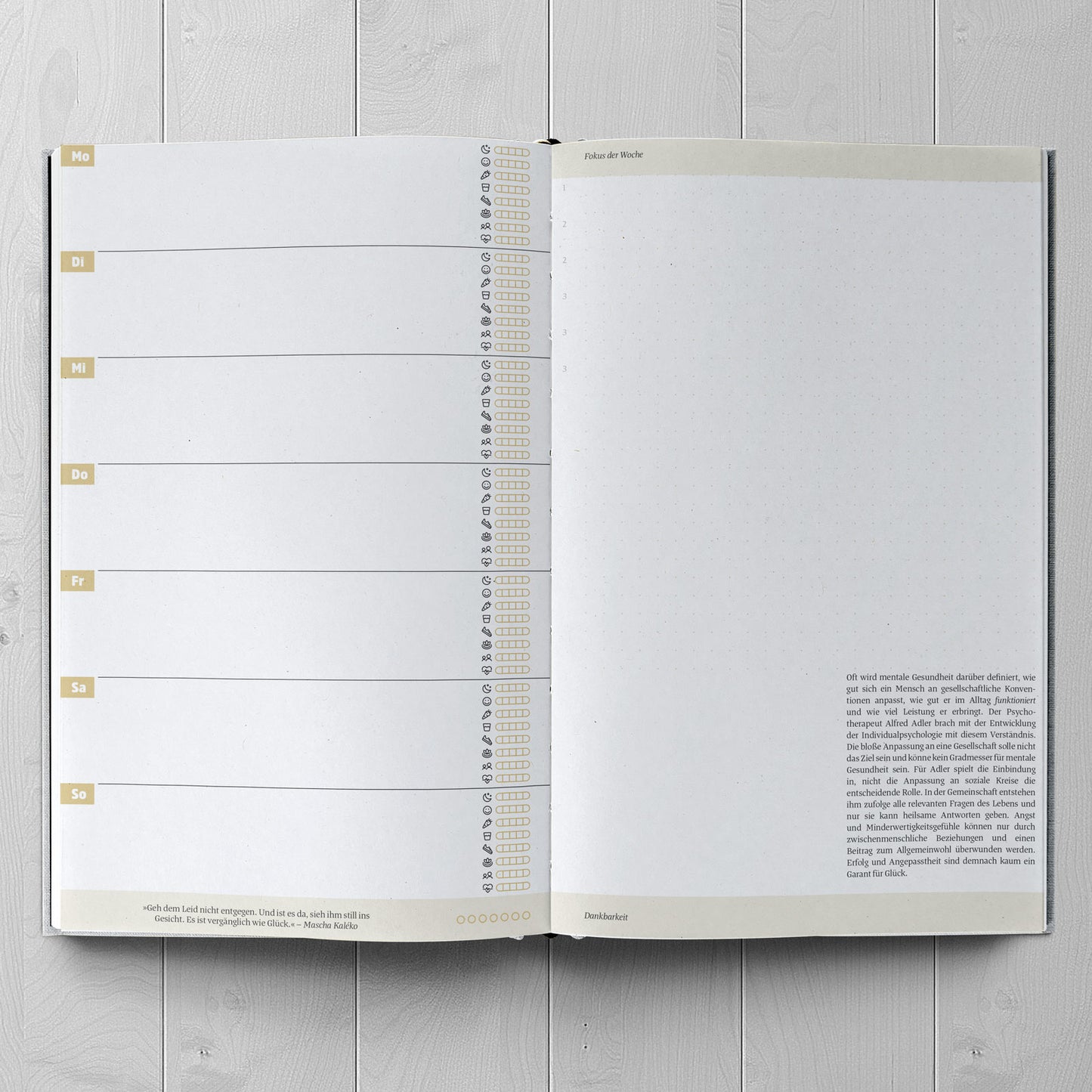 Ein guter Plan - Zeitlos Voilett - WERTE FREUNDE