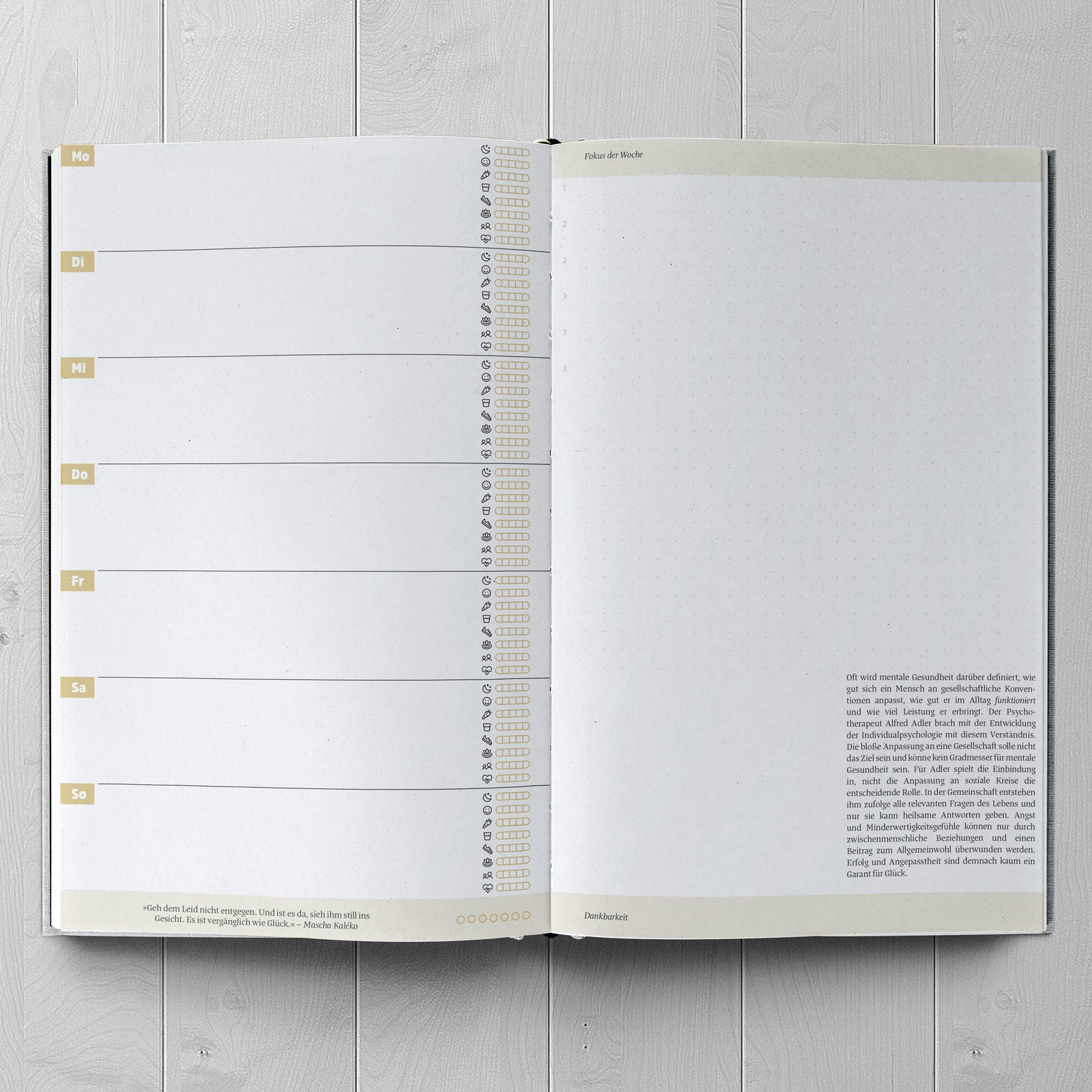 Ein guter Plan - Zeitlos Voilett - WERTE FREUNDE