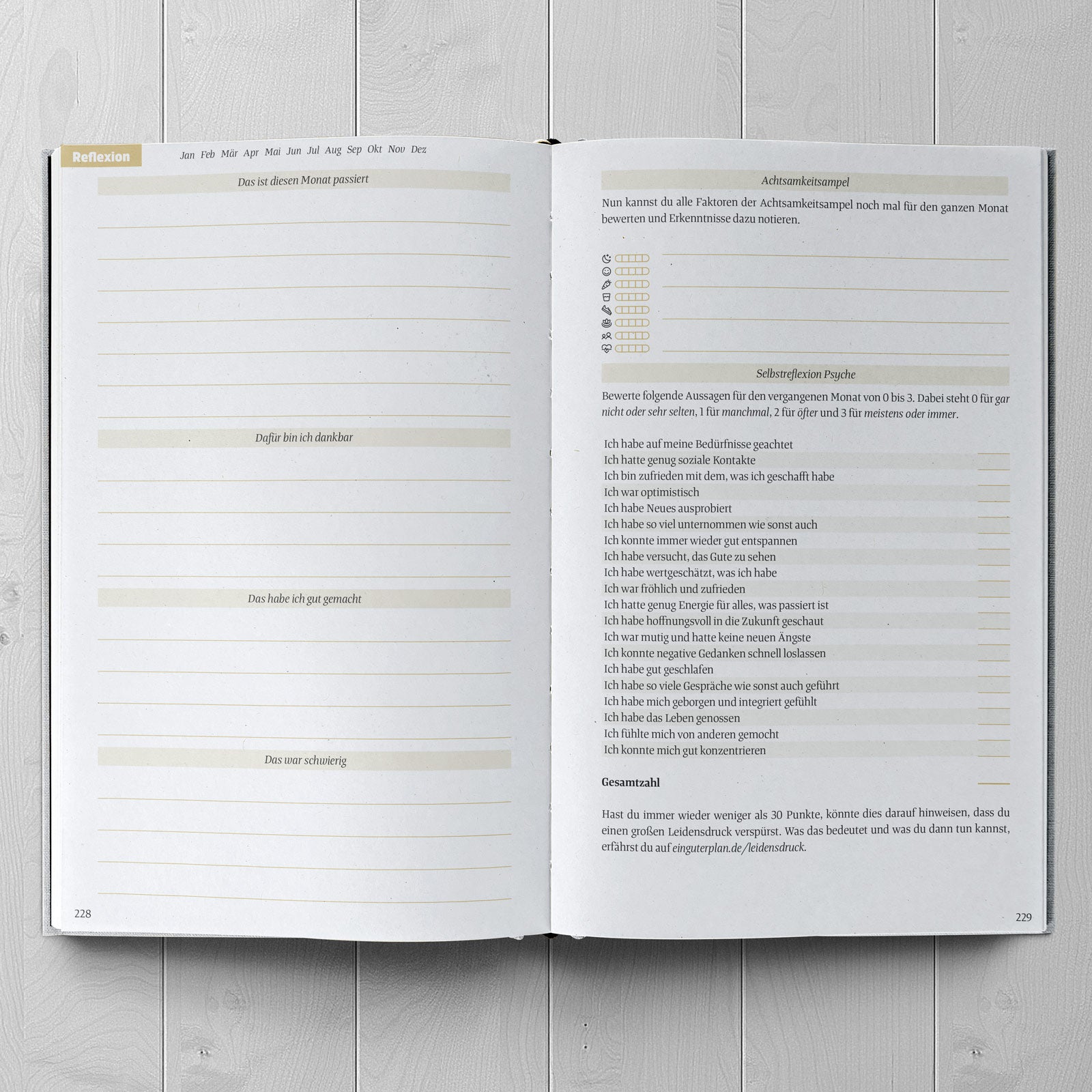 Ein guter Plan - Zeitlos Voilett - WERTE FREUNDE