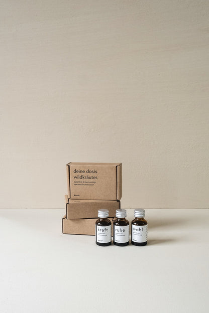 kruut - Wildkräuterauszug Die Kleinen (je 1x15ml Kraft, Ruhe, Wohl) 45 ml - WERTE FREUNDE