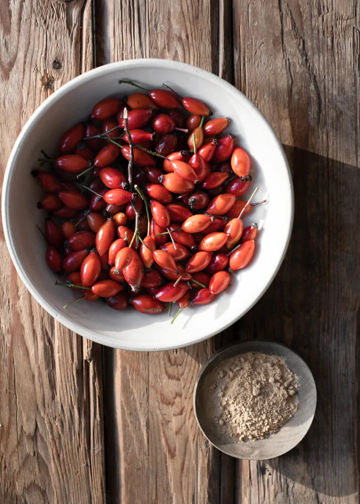 kruut - Wildkräuterauszug Immun 500 ml - WERTE FREUNDE