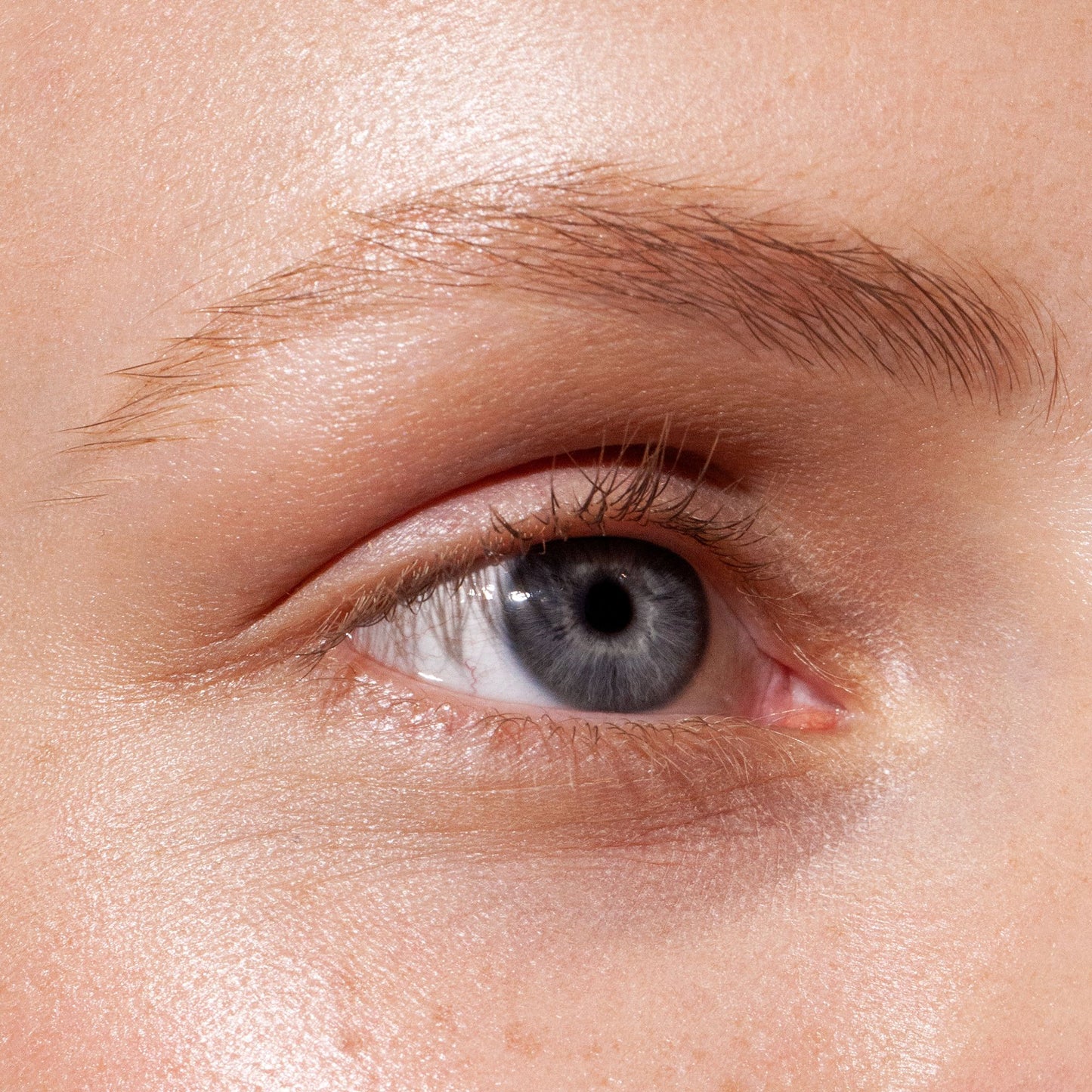 MADARA - GROW & FIX Tinted Brow Gel 4,25ml - WERTE FREUNDE