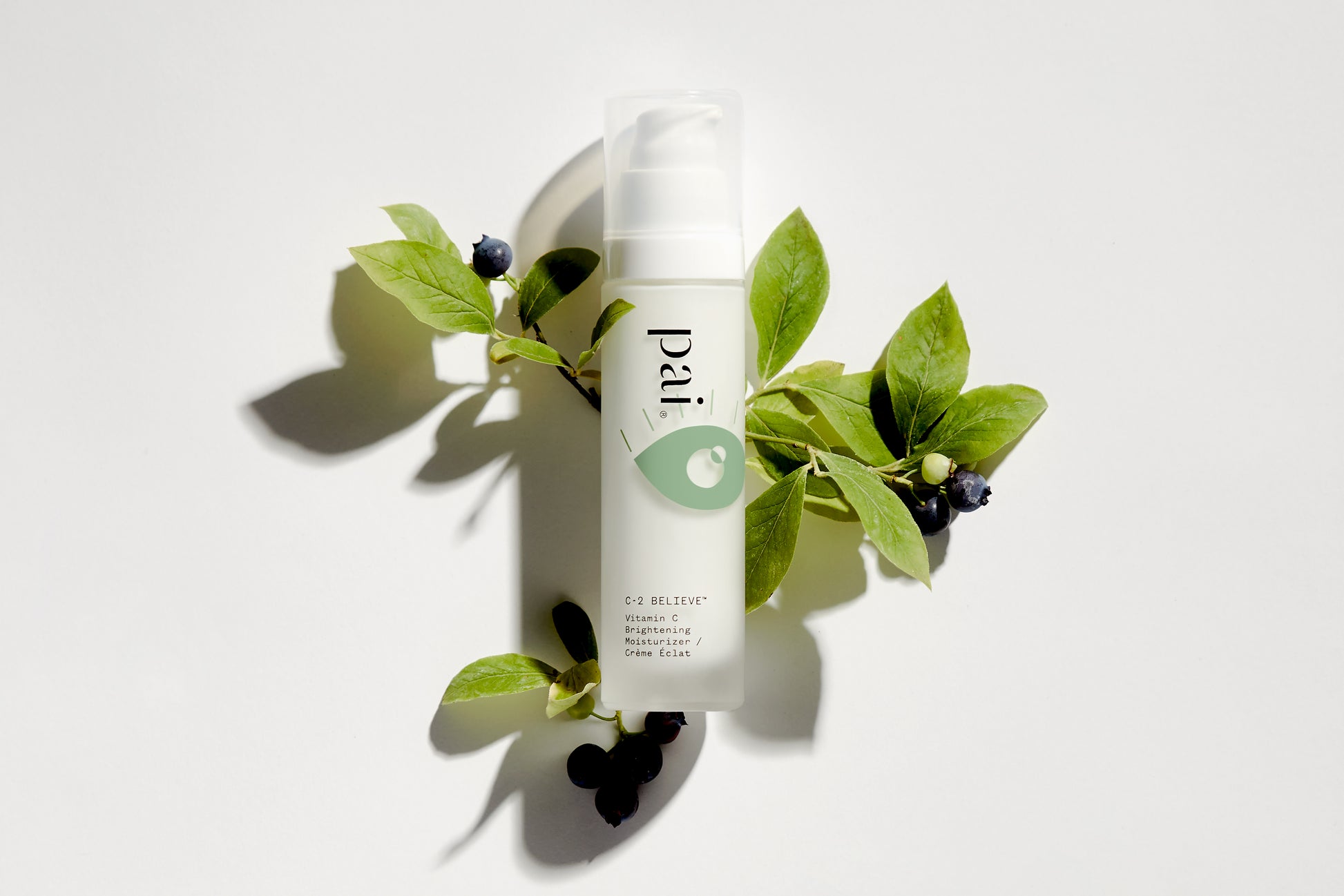 Pai - C-2 Believe Brightening Moisturizer 50ml - WERTE FREUNDE