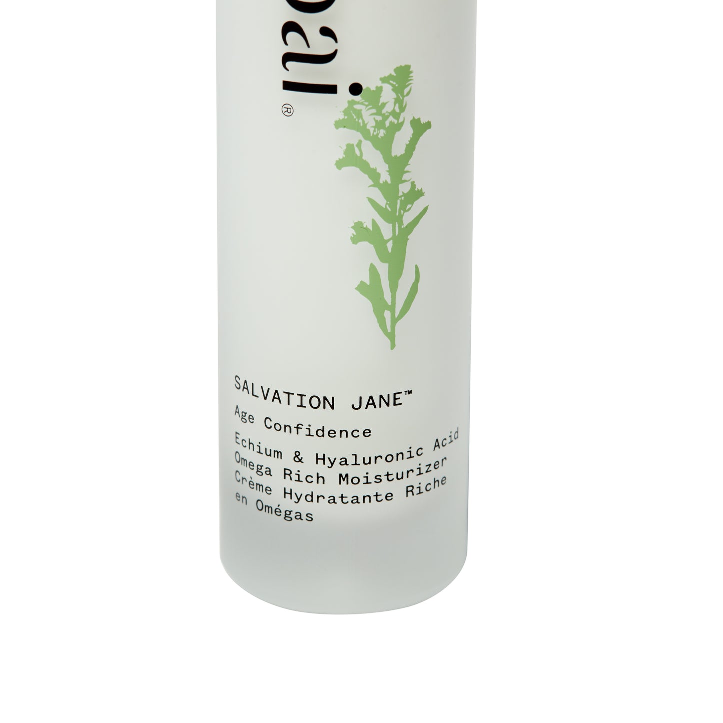 Pai - Salvation Jane - Omega Rich Moisturizer 50ml - WERTE FREUNDE